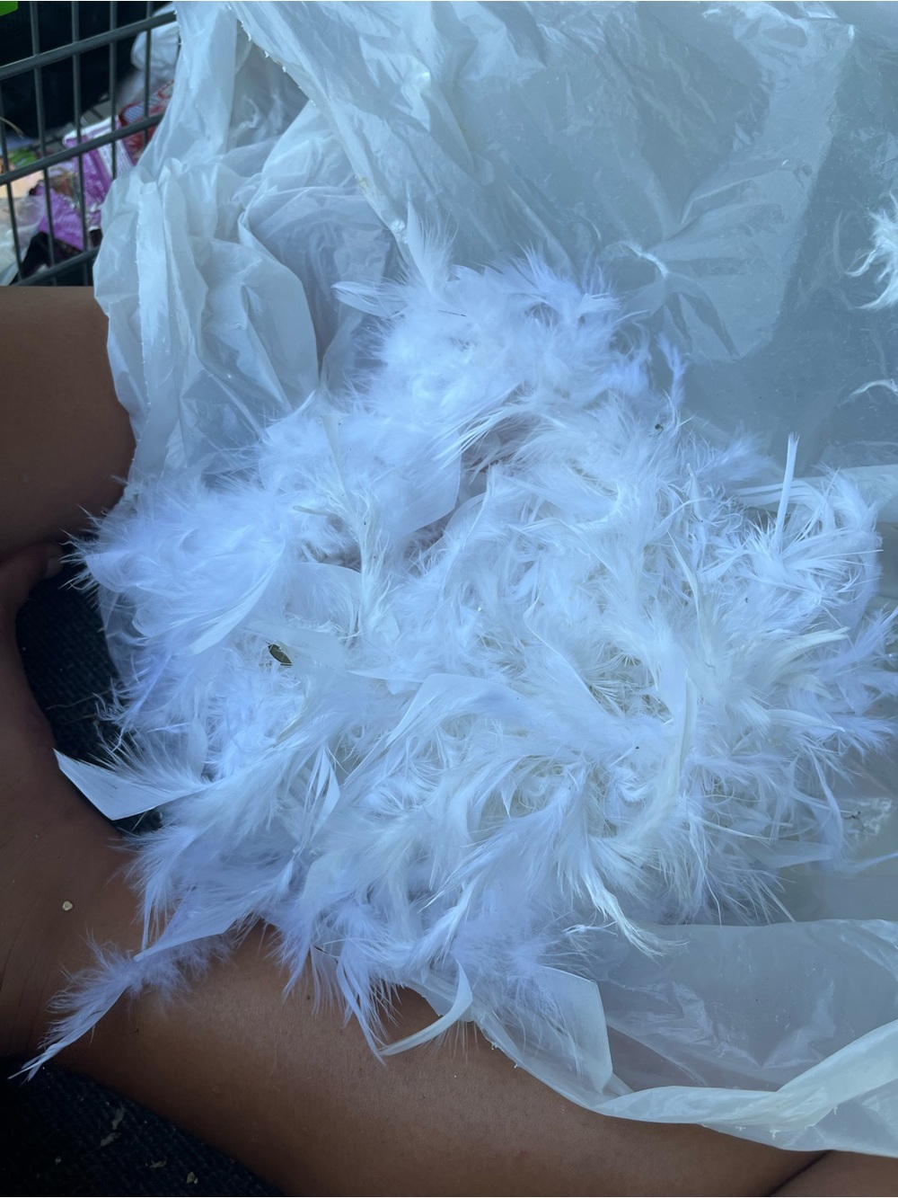 feathers White Feather Boa Scarf